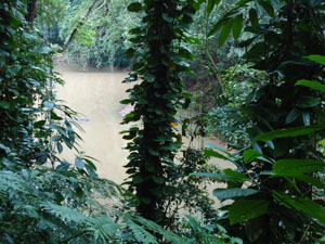 Udawatta Kele pond